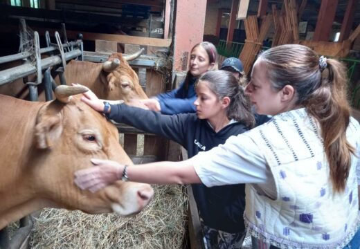 A Xunta pon en valor o rural galego a través do campamento “Aldea Perdida” da Graxa Zoo de Grixalba